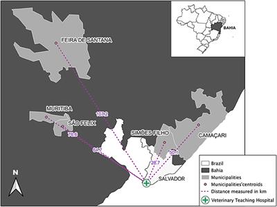 Feline Leishmaniasis Caused by Leishmania infantum: Parasite Sequencing, Seropositivity, and Clinical Characterization in an Endemic Area From Brazil